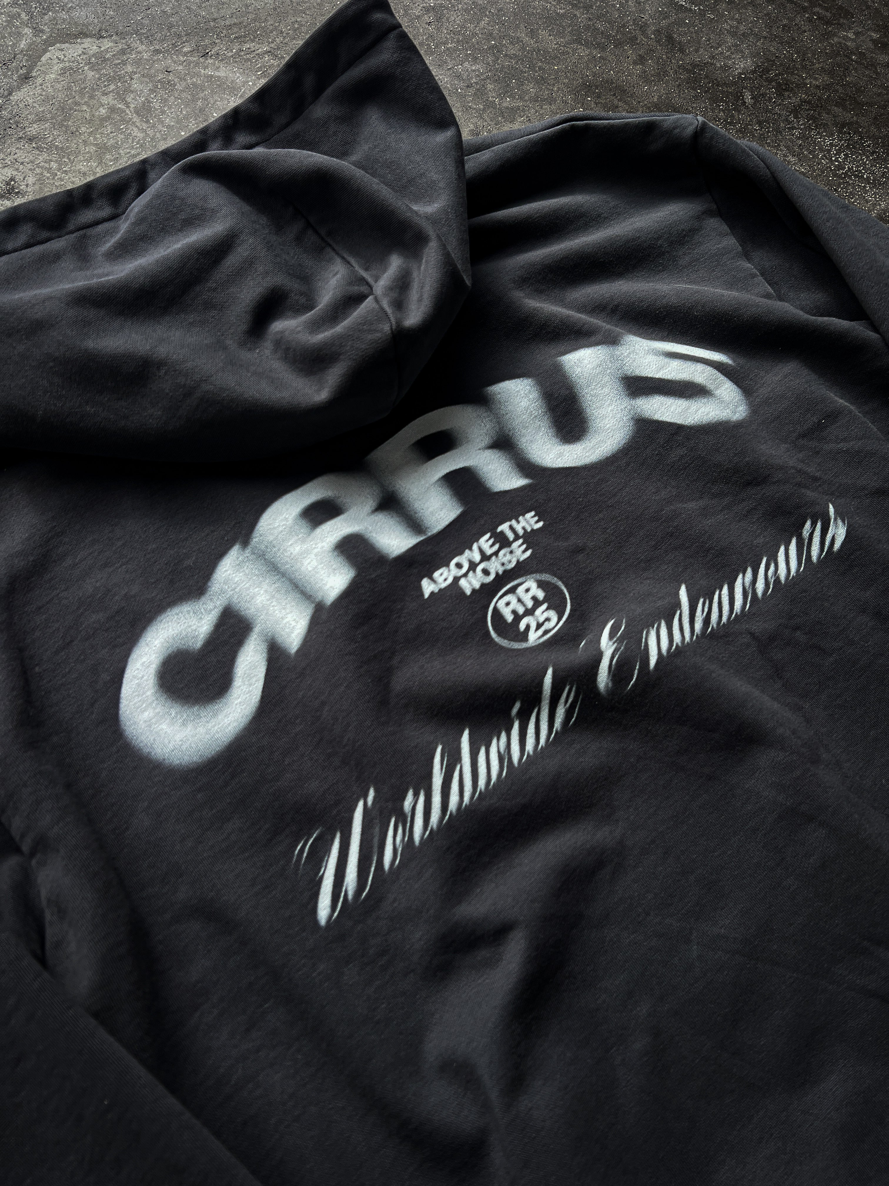 "ENDEAVOURS" HOODIE