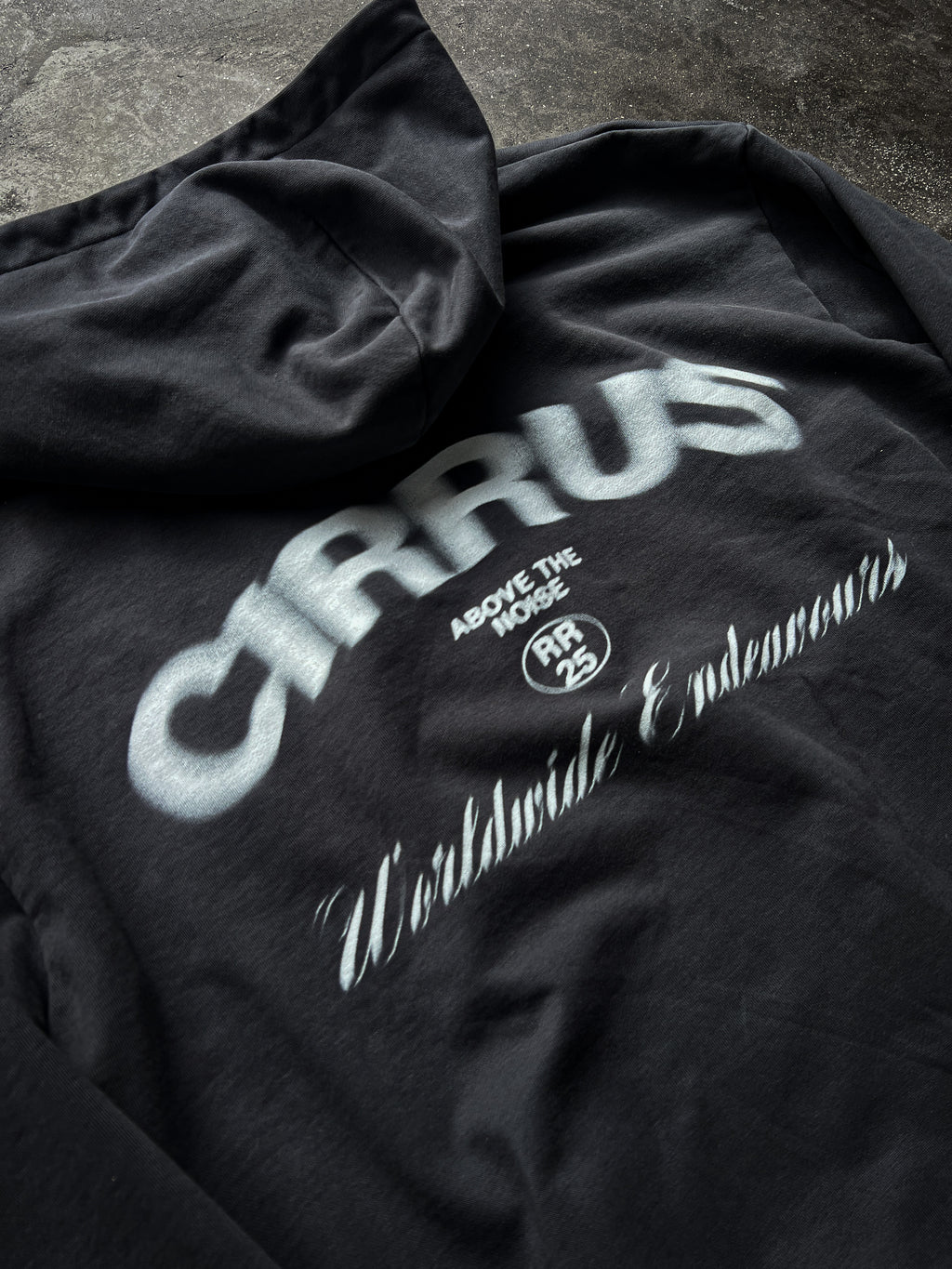 "ENDEAVOURS" HOODIE